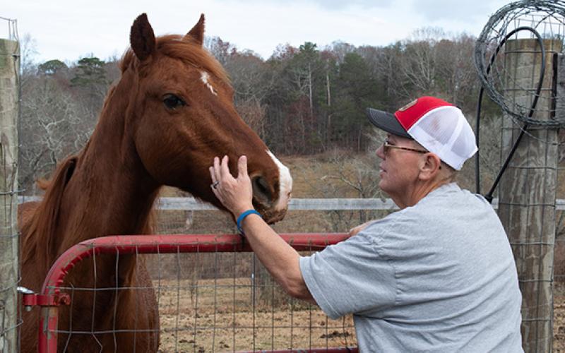 Seth Herrin pets one of the family’s horses in the small pasture next to their home. The Herrins worry that with incoming growth, their farm animals could see the negative impacts, as well. (Hannah Caudell/Staff)