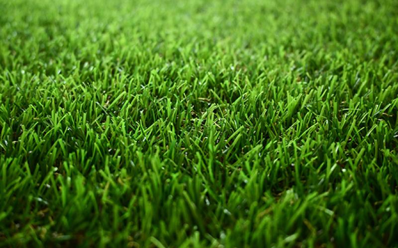 The Habersham County Parks and Recreation Department is gearing up to spend $114,542 on grounds care, which encompasses $104,198 for the turf management plan. (Adobe Stock)