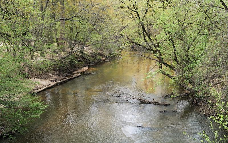 The Soque River’s levels are lower than usual as Habersham County — and the state as a whole — suffers severe drought conditions. ZACH TAYLOR/Staff