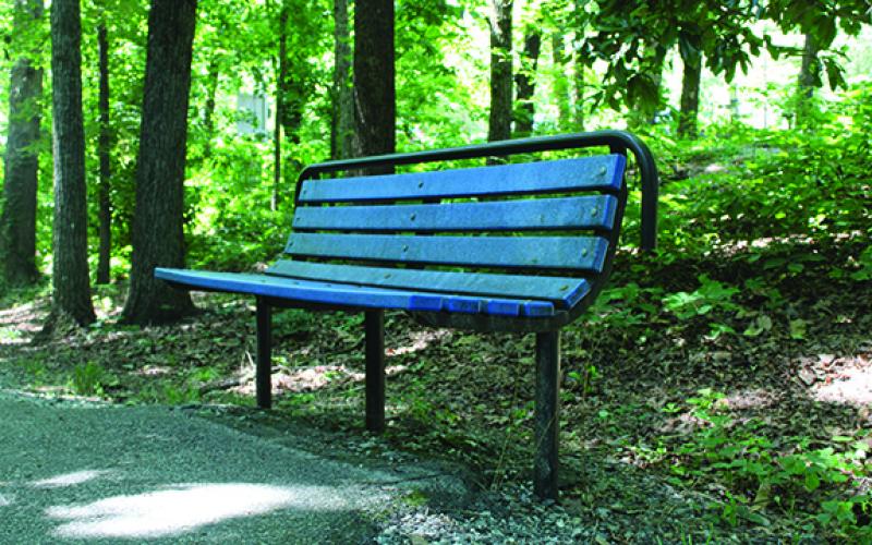 An empty park bench in Cornelia City Park sits unoccupied. It’s similar to the six benches commissioners approved Tuesday night for three city park playgrounds: Jim Smith Park, Cornelia City Park and Oak Street Park. (By Hannah Caudell)