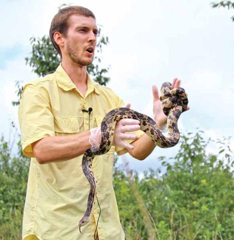 snake