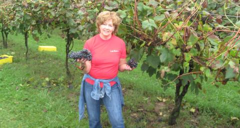 Winemaker
