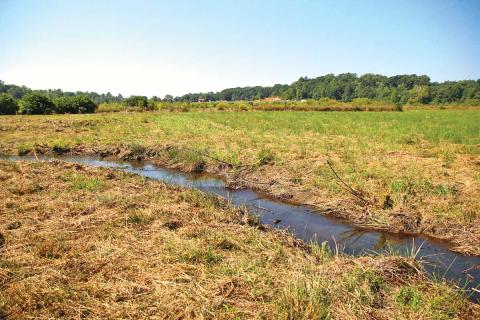 This property in Clarkesville undergoing a massive wetland restoration project. The project is taking place between Wall Bridge Road and Wall Bridge Loop which began the week of Aug. 26. (Photo/ERIC PEREIRA)