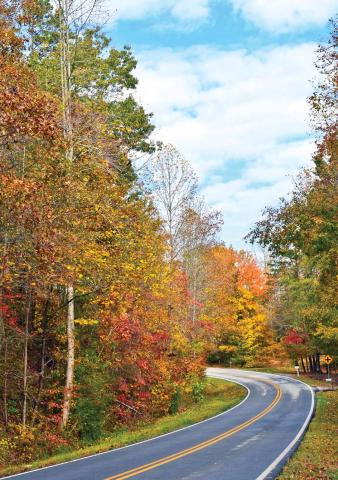 Fall leaves in north Habersham County emit warm hues.