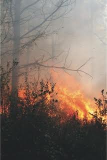 Dry conditions concern Northeast Georgia