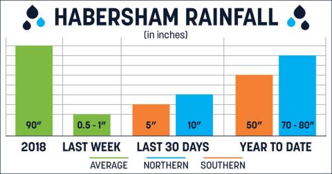 rainfall graph