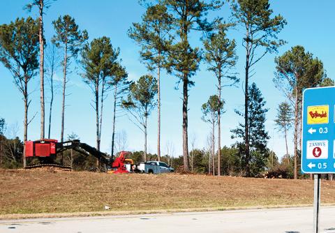 Drivers have noticed workers cutting down trees along Route 365, which the Department of Transportation said is for safety purposes.