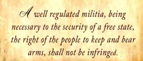 Many counties have declared themselves Second Amendment sanctuaries this year.
