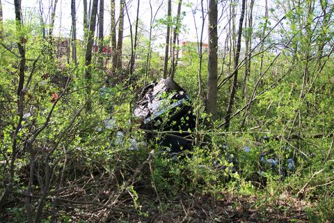 The vehicle landed deep in the woods by State Route 365 southbound.