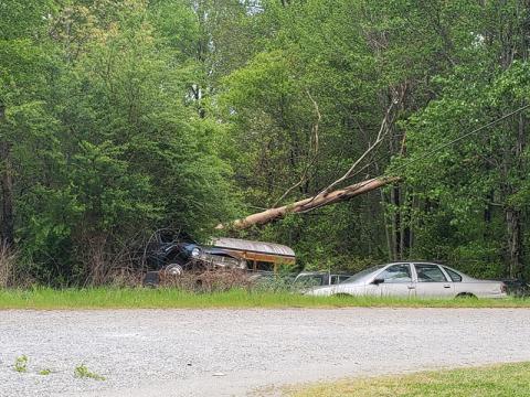 This tree went down over power lines in the southern part of the county. Photo by Alan NeSmith/Staff
