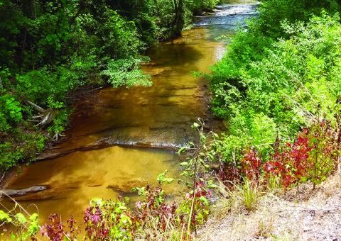 Panther Creek’s beautiful scenery and serene natural settings attract tourists daily, but Habersham County has needed to undergo multiple four-hour-plus rescues in the last five weeks. Photo by SAMANTHA SINCLAIR/CNI News Service