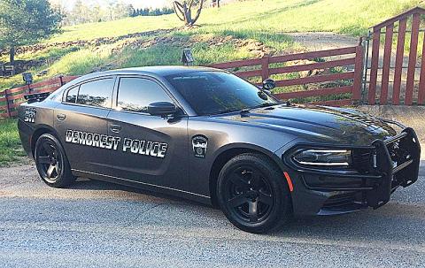 Demorest Police were called out by Piedmont College for allegedly harassing and threatening Campus Police officers.