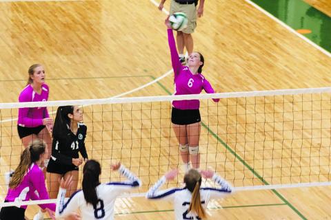 Tallulah Falls’ Sarah Jennings goes for a spike during a recent home match. BRIAN CARTER/Special