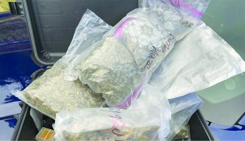 drug bust