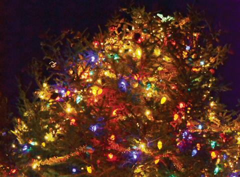 Baldwin’s tree lightning may not be a large gathering this year.