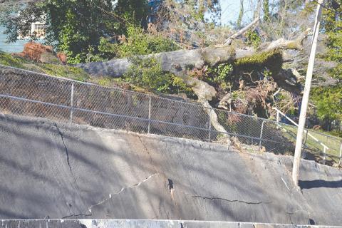 The flooding damage to the wall on Central Avenue in Demorest also brought down a 100-year-old oak tree, according to a letter from residents of Sosebee Lane.