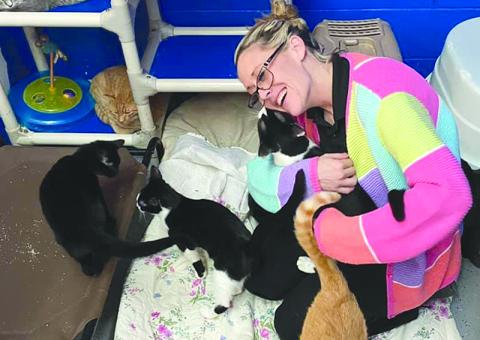 Madi Nix sits on the floor with a handful of cats up for adoption at the Habersham County Animal Shelter in Clarkesville, giving them some much needed love. Photo courtesy of Habersham County Animal Shelter