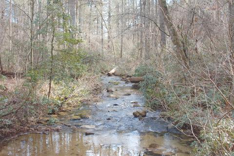 Panther Creek’s beautiful trails and scenic hiking areas are still getting visitors even though they are technically closed.