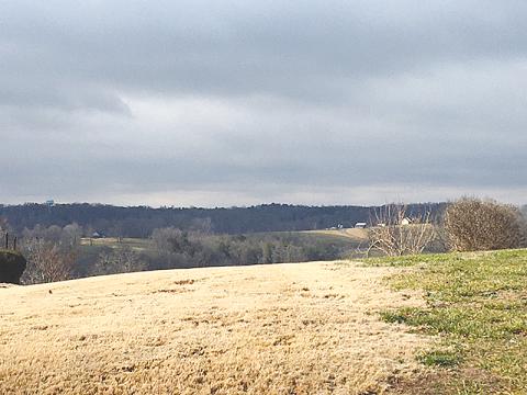 This view is from the Annandale housing development back toward where the proposed cell phone tower was slated to be placed.