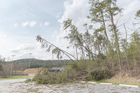Trees were downed among other damage on Tallulah Falls’ campus early Friday morning when a microburst hit the area during a heavy thunderstorm. E. LANE GRESHAM/Special