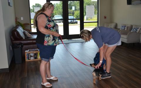 Brenda Reed and Leah MacNellis give Theo the attention he craves at the Habersham County Airport. They get as much love from him as he from them, though. BRIAN WELLMEIER/Staff