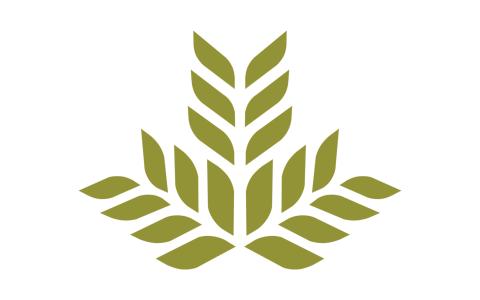 Northeast Georgia Health System