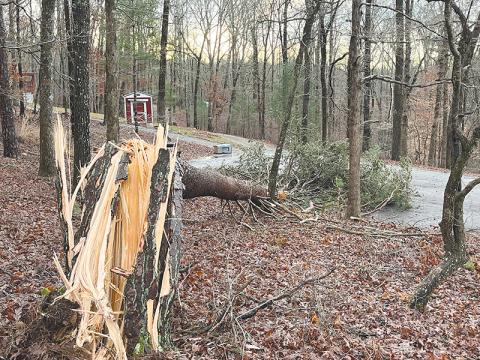 A split tree on Chestnut Ridge Drive in Clarkesville was one of many that came down early Monday morning in a windstorm that followed a week’s worth of rain and a 30-degree drop in temperature.