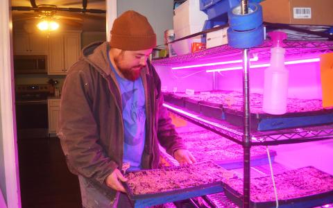 Justin Holbrook tends to seedlings at the nursery in his home. BRIAN WELLMEIER/Staff