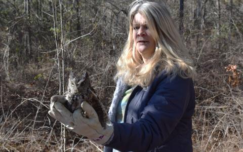 Claire Mills comforts an owl before releasing it back into the wild Monday afternoon. AMARIS E. RODRIGUEZ/Staff