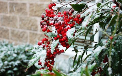 By Sunday afternoon, Habersham County could be covered in ice, as the first major winter storm of the season is bearing down on North Georgia.