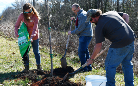 Sarah Samsel, Keith Dickerson and Michael Yearwood plant a kwanzan tree in honor of late Councilman Steven Ward. BRIAN WELLMEIER/Staff