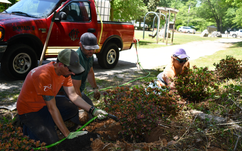 Chris Yearwood, Joe Deputy and Sarah Samsel plant rhododendrons and azaleas at Pitts Park in Clarkesville. BRIAN WELLMEIER/Staff
