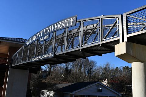 A majority of Piedmont University faculty members voted Monday to approve a resolution of no confidence in President James Mellichamp’s leadership.