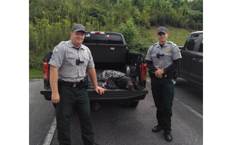 Cpl. Joe Hill and Game Warden Matt Kiracofe with a bear seized from a hunter who was charged with hunting big game over bait. WHITE COUNTY NEWS