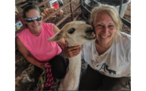Amy Franklin smiles as Baby Llama Bean nuzzles Nicole Taylor of Spirit Fiber Works which will bring alpacas, sheep and angorra goats to the St. Paul Fall Festival on Saturday, Oct. 1. JAMES THOMAS/Submitted