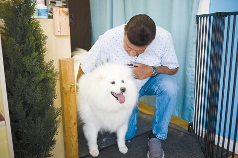 Tony Romano and his 4-year-old Samoyed Bella prepared to go for a walk during his lunch break. The two have been inseparable since meeting just before the pandemic hit. They were featured in an article in The Northeast Georgian on Jan. 3, 2020. ZACH TAYLOR/Special