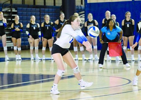 Covenant College’s Sarah Jennings, an alumna of Tallulah Falls School, has slid right into the libero spot at her new school. COVENANT COLLEGE/Submitted