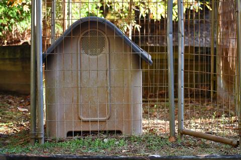 Circle of Hope has several doghouses on its shelter property to help facilitate pets accompanying their owners there. JULIANNE AKERS/Staff