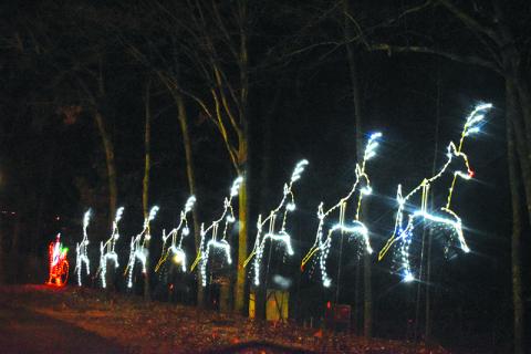 The lights in Cornelia City Park have been a staple of Christmas here for more than three decades. SAMANTHA SINCLAIR/CNI News Service