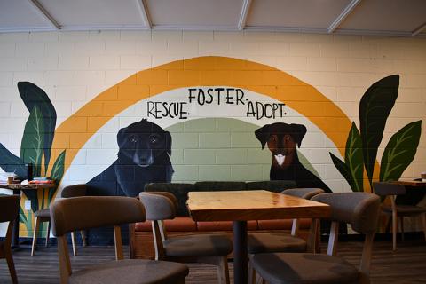 A mural spans the wall of Man’s Best Friend Café encouraging people to foster, rescue and adopt animals. It depicts Shaggy (left) and Zoe (right), two of Lincoln’s dogs who have passed away. JULIANNE AKERS/Staff