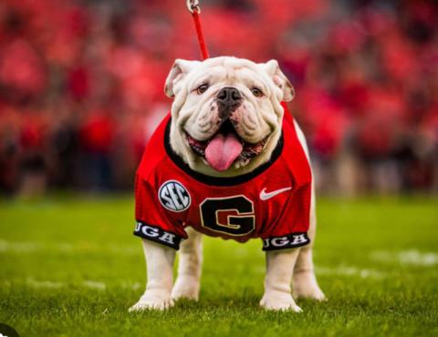 Photo of UGA X. UNIVERSITY OF GEORGIA ATHLETICS/SUBMITTED