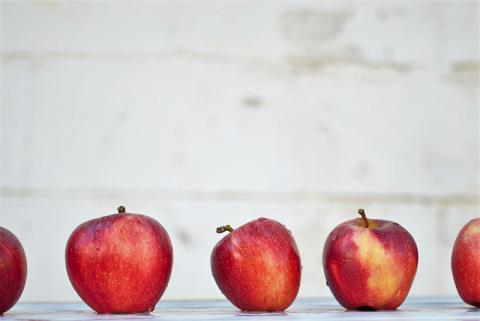 Photo by Isabella Fischer on Unsplash