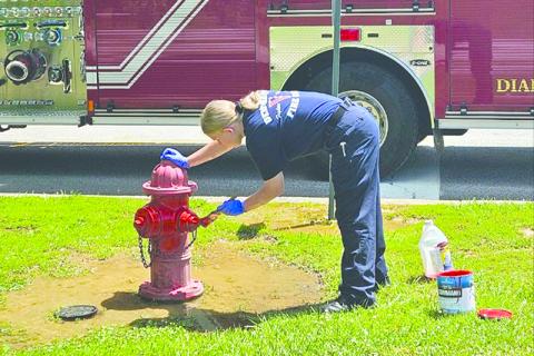 Demorest firefighter Mary Ellen Smith paints a hydrant on Saturday afternoon. SUBMITTED