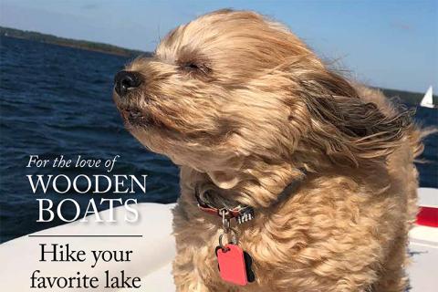 Kathy Skidgel of Hart County captured this photo of her dog, Maya, enjoying a breezy boat ride on Lake Hartwell. Skidgel’s photo was featured on the spring 2024 edition of Lake Living magazine. Photo/Kathy Skidgel