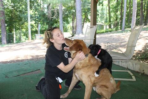 Habersham County Animal Control Director Madi Nix plays with dogs Harvard and Myles. BRIAN WELLMEIER/Special