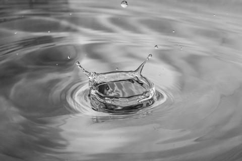 Photo by Mohan Murugesan on Unsplash