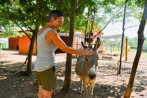 Jessie Romer gives Hank the donkey a pat on the head before giving him a few fruits to snack on. JULIANNE AKERS/Staff
