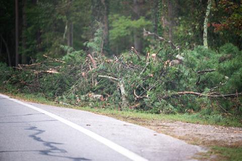 Debris still hangs into some roadways. Trees were down into HWY 365 Friday morning around 3 am. ZACH TAYLOR /Staff