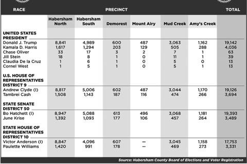 Results by precinct graphic. FILE
