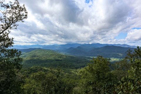 Photo by kenna swanson on Unsplash